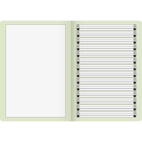 BRUNNEN Geschichtenheft | A5, Lineatur 2G, 16 Blatt, grün