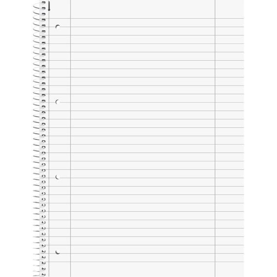 Collegeblöcke Student A4 Lineatur 27, liniert 80 Blatt + 5 Brunnen Collegeblöcke 28 kariert , weiß