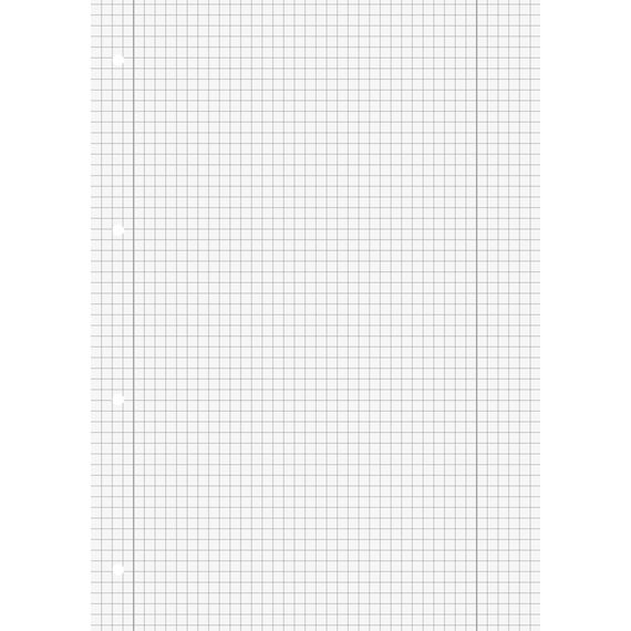 Brunnen 1052528 Schulblock / Notizblock (A4, 50 Blatt, kariert, mit Randlinien, Lineatur 28, gelocht, kopfverleimt, 70 g/m²)