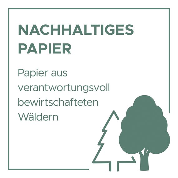 AVERY Zweckform 1756 Kassenbuch (A4, 2x40 Blatt, selbstdurchschreibend, nach Steuerschiene 300, EDV-gerechte Datenerfassung, von Rechtsexperten geprüft, für DE, ordnungsgemäße Buchführung) weiß/gelb