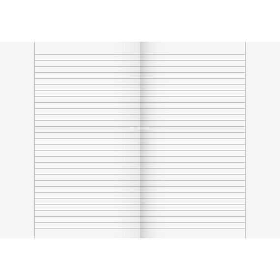 BRUNNEN Oberschulheft | A4, Lineatur 25, 20 Blatt, schwarz