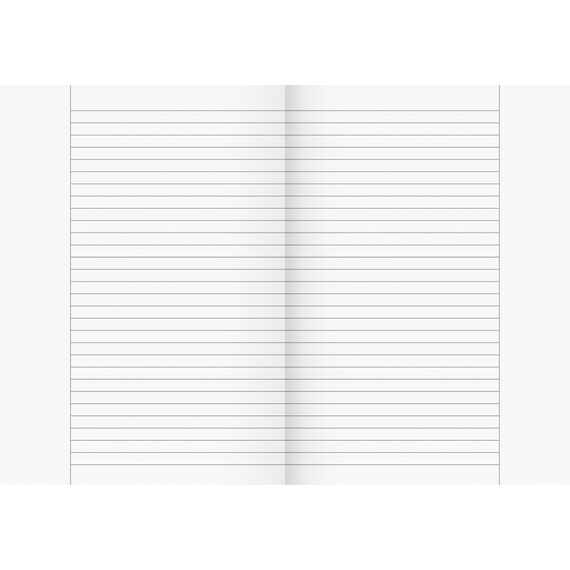 Brunnen 1044625 Oberschulheft A4 (20 Blatt, liniert, mit Rand, Lineatur 25) (Packung mit 4)