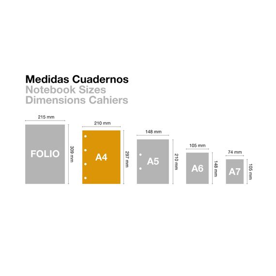 Miquelrius – Nachfüllblock, 100 karierte Blätter 4x4 mm ohne Rand und ohne Lochung, Opakes Papier 90 g/m², A4 Ersatzblätter für Ringordner, Schulbedarf für den Schulanfang