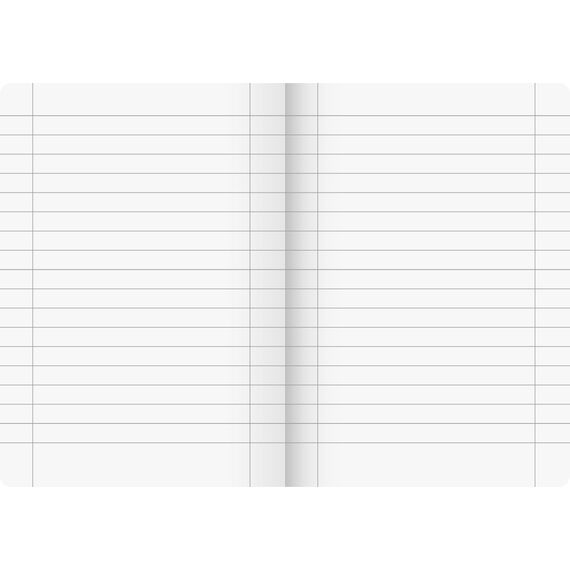 Brunnen Schulheft A5 Vivendi Lineatur 27 16 Blatt (Packung mit 2)