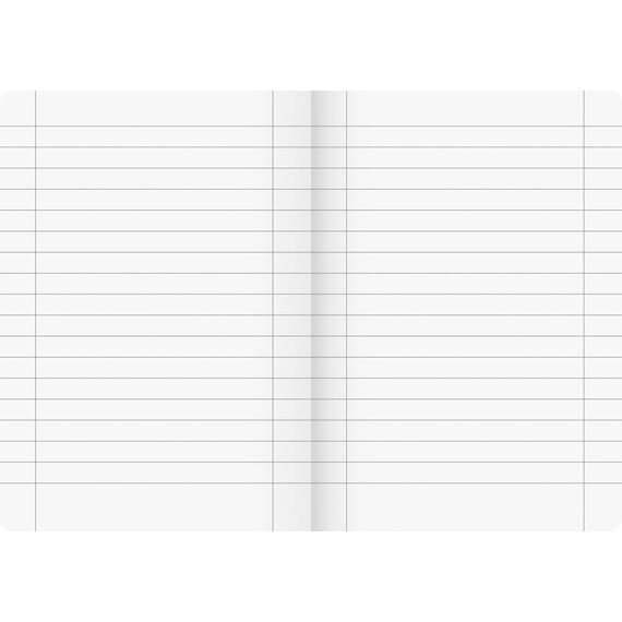 Brunnen Schulheft A5 Vivendi Lineatur 27 16 Blatt (Packung mit 2)