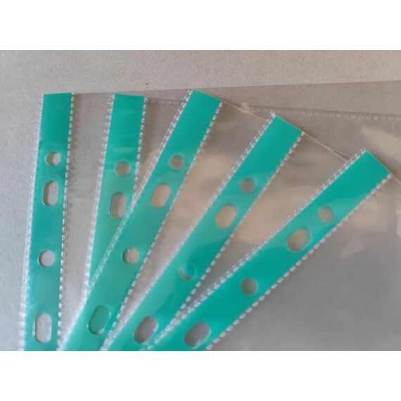 PUTOAHAO 100 Stück Klarsichthüllen A4 Glasklar aus PP (0.06 mm,60 My,60µ,60 micron),mit 11 Lochungen für 2/3/4-Ring-Ordner, Prospekthüllen DIN A4 für Dokumente (Grün Seite, 6C-100)
