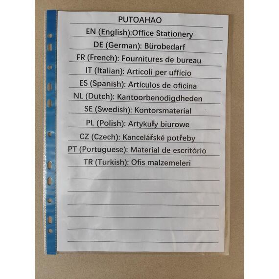 PUTOAHAO 100 Stück Klarsichthüllen A4 Glasklar,DINA4 Prospekthüllen aus PP(0.06 mm,60 My,60µ,60 micron),11 Loch Perforationen Klarsichtfolien A4 für Broschüren,Ordner,Dokumente (Blaue Seite,6C)