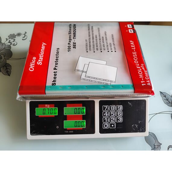 PUTOAHAO 100 Stück Klarsichthüllen A4 Glasklar aus PP (0.06 mm,60 My,60µ,60 micron),mit 11 Lochungen für 2/3/4-Ring-Ordner, Prospekthüllen DIN A4 für Dokumente (Grün Seite, 6C-100)