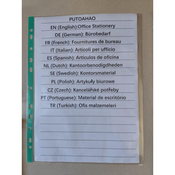 PUTOAHAO 100 Stück Klarsichthüllen A4 Glasklar aus PP (0.06 mm,60 My,60µ,60 micron),mit 11 Lochungen für 2/3/4-Ring-Ordner, Prospekthüllen DIN A4 für Dokumente (Grün Seite, 6C-100)