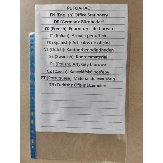 PUTOAHAO 100 Stück Klarsichthüllen A4 Glasklar,DINA4 Prospekthüllen aus PP(0.06 mm,60 My,60µ,60 micron),11 Loch Perforationen Klarsichtfolien A4 für Broschüren,Ordner,Dokumente (Blaue Seite,6C)
