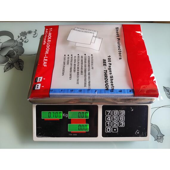 PUTOAHAO 100 Stück Klarsichthüllen A4 Glasklar,DINA4 Prospekthüllen aus PP(0.06 mm,60 My,60µ,60 micron),11 Loch Perforationen Klarsichtfolien A4 für Broschüren,Ordner,Dokumente (Blaue Seite,6C)