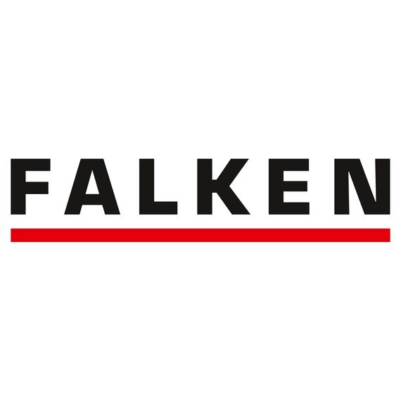 Original Falken 10er Pack Motivordner-Kindergarten mit Einstecktasche. Made in Germany. 8 cm breit DIN A4 Motiv Dschungel, Ringordner Aktenordner Briefordner Büroordner Plastikordner