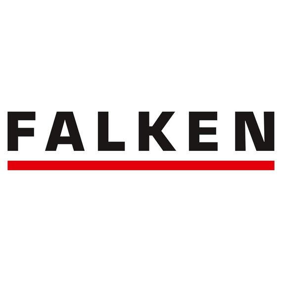 Original Falken 10er Pack Kindergarten-Ordner mit Einstecktasche. Made in Germany. 8 cm breit DIN A4 Motive sortiert, Ringordner Aktenordner Briefordner Büroordner Plastikordner