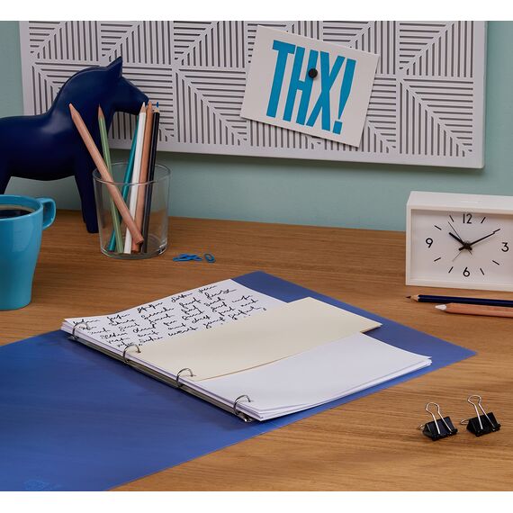 Exacompta 13375B 100er Pack Premium Karton-Trennstreifen. 10,5 x 24 cm chamois. Für eine übersichtliche Anblage Ihrer Dokumente. Trennlaschen Trennblätter Ordner Register