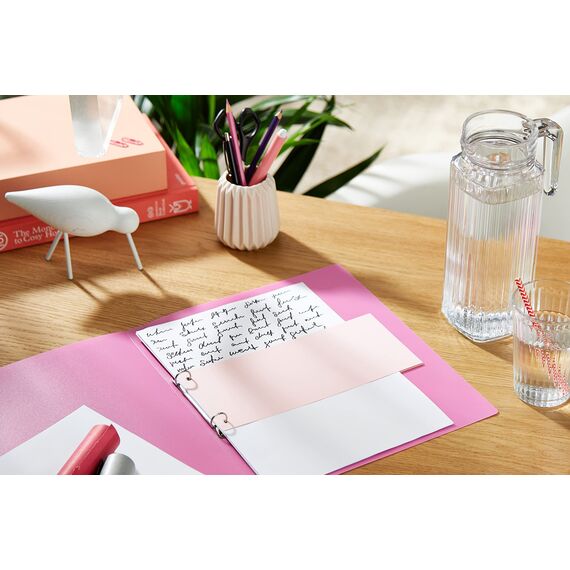 Exacompta 13335B 100er Pack Premium Karton-Trennstreifen. 10,5 x 24 cm rosa. Für eine übersichtliche Anblage Ihrer Dokumente. Trennlaschen Trennblätter Ordner Register