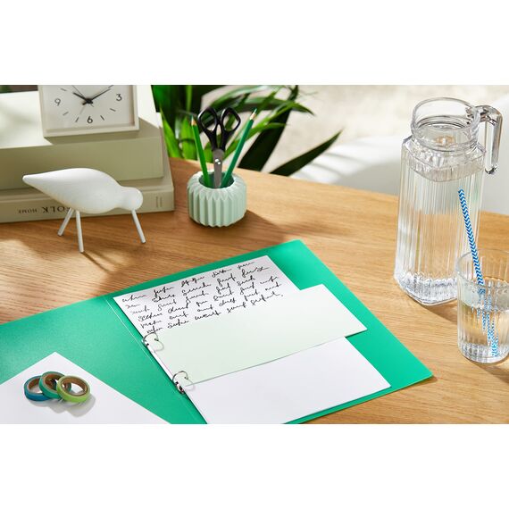 Exacompta 13345B 100er Pack Premium Karton-Trennstreifen. 10,5 x 24 cm grün. Für eine übersichtliche Anblage Ihrer Dokumente. Trennlaschen Trennblätter Ordner Register