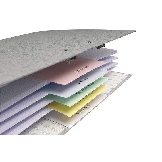 Exacompta 13395B 100er Pack Premium Karton-Trennstreifen. 10,5 x 24 cm farbig sortiert. Für eine übersichtliche Anblage Ihrer Dokumente. Trennlaschen Trennblätter Ordner Register