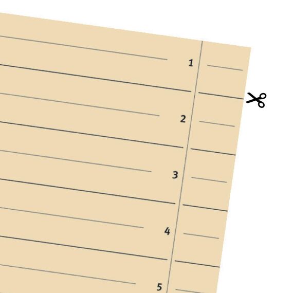 Original Falken 10er Pack Trennblätter. Made in Germany. Aus Recycling-Karton für DIN A4 hellchamois Trennlaschen Trennblätter Ordner Register Kalender Blauer Engel