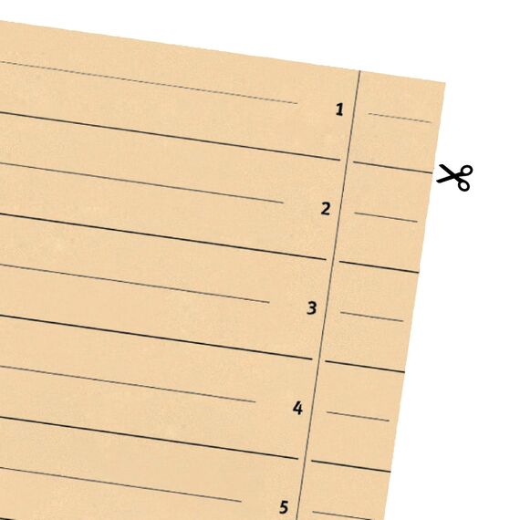 Original Falken 500er Pack Trennblätter. Made in Germany. Aus Recycling-Karton für DIN A4 chamois Trennlaschen Trennblätter Ordner Register Kalender Blauer Engel