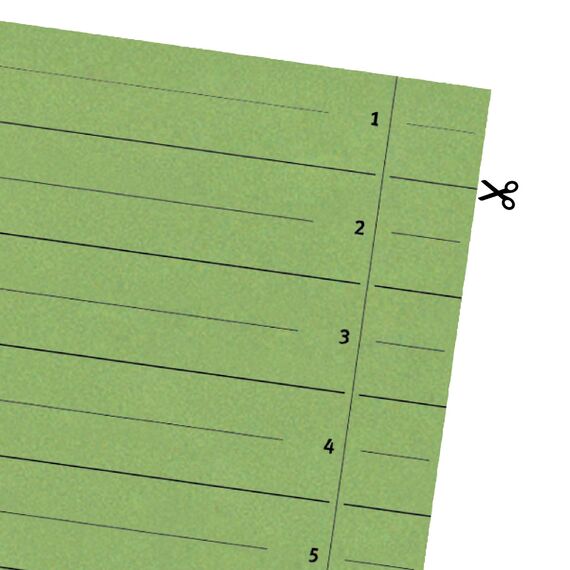 Original Falken 500er Pack Trennblätter. Made in Germany. Aus Recycling-Karton für DIN A4 grün Trennlaschen Trennblätter Ordner Register Kalender Blauer Engel