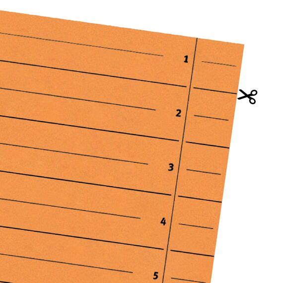 Original Falken 100er Pack Trennblätter. Made in Germany. Aus Recycling-Karton für DIN A4 orange Trennlaschen Trennblätter Ordner Register Kalender Blauer Engel