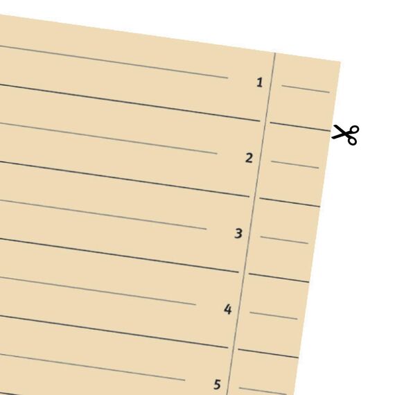 Original Falken 100er Pack Trennblätter. Made in Germany. Aus Recycling-Karton für DIN A4 hellchamois Trennlaschen Trennblätter Ordner Register Kalender Blauer Engel