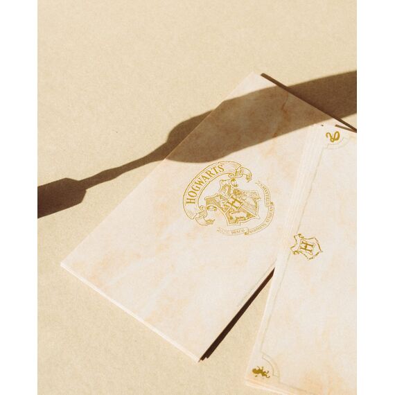 Grupo Erik Harry Potter Bleistift-Feder und Kartenset mit Briefen und Briefumschlägen - Harry Potter Fanartikel - Harry Potter Geschenke - Offizielle Lizenz, Mittel, SBPCE01