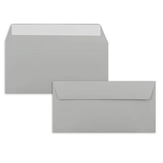 250x Briefpapier Set DIN A4 mit DIN Lang Briefumschlägen, Haftklebung - Hellgrau - mattes Schreibpapier mit Kuverts - FarbenFroh by GUSTAV NEUSER
