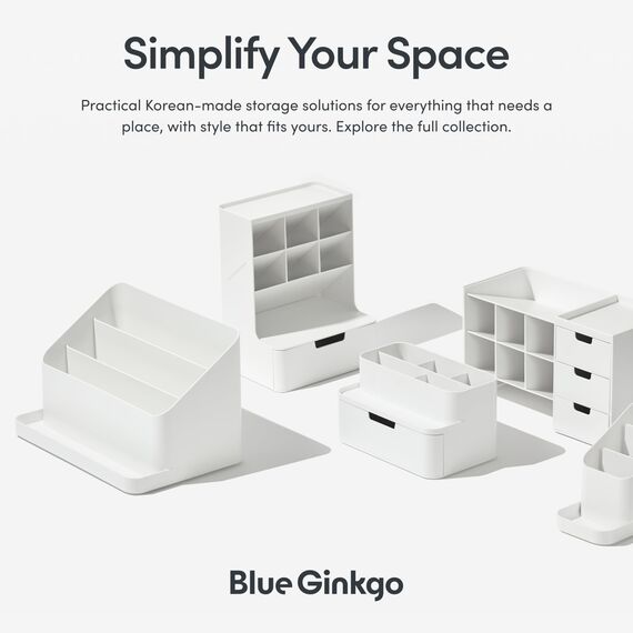 BLUE GINKGO Schreibtischablage – Organizer aus Korea für Notizen, Stifte, Bleistifte und Accessoires (Beidseitig, Grün)