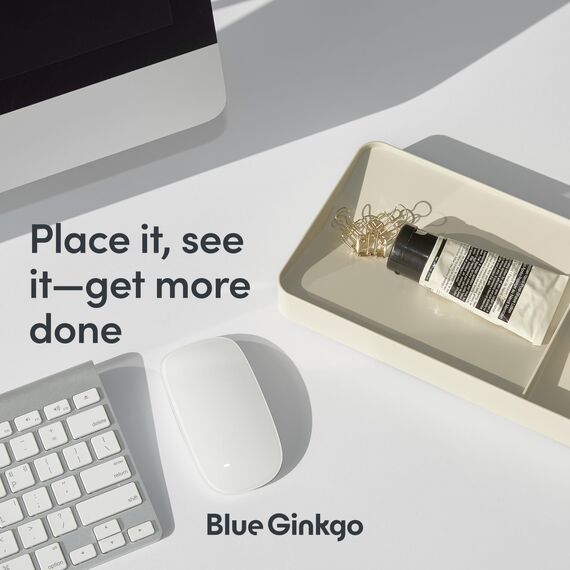 BLUE GINKGO Schreibtischablage – Organizer aus Korea für Notizen, Stifte, Bleistifte und Accessoires (Beidseitig, Beige)