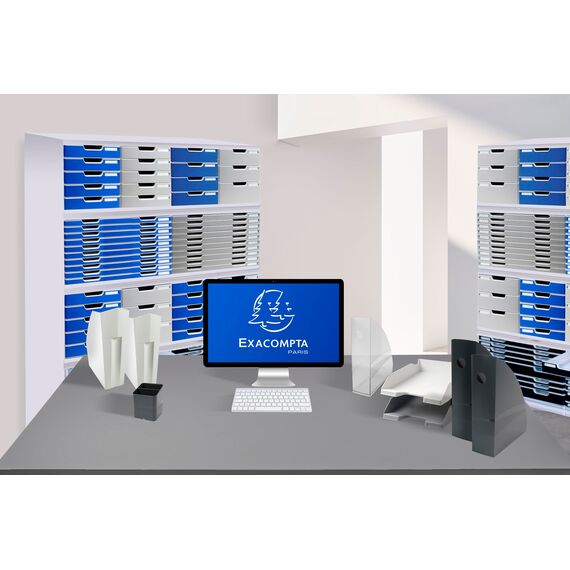 Exacompta 390740D Organizer Modulotop mit 5 Trennwänden aus Kunstsoff für DIN A4 Dokumente lichtgrau. Für Ordner Ringbücher Postmappen und Hefter Sorter Vertikal