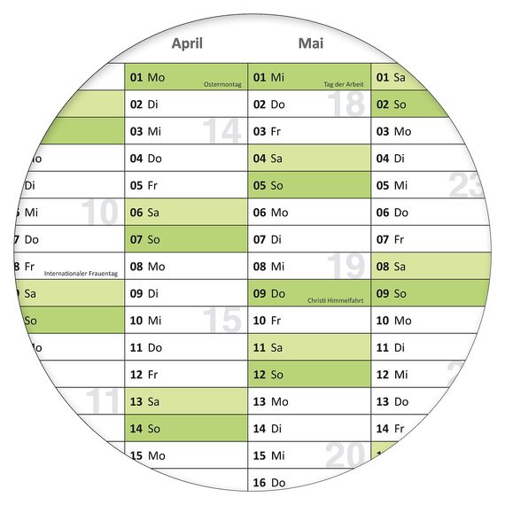 Din B1 Wandkalender 2026 abwischbar XXL Jahresplaner 100x70 cm cm groß inklusive 1 Marker, feucht korrigierbar. Jahreskalender, Kalender 2026 in deutscher Sprache von Kalenderoutlet