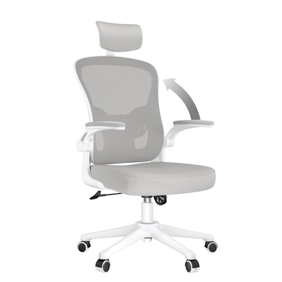 naspaluro Ergonomischer Bürostuhl mit Atmungsaktiver Netzbespannung, Schreibtischstuhl mit Verstellbarer Armlehnen, Kopfstütze, Lordosenstütze, Höhenverstellung, 360° Drehstuhl, Grau