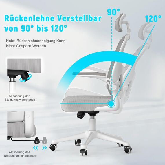 naspaluro Ergonomischer Bürostuhl mit Atmungsaktiver Netzbespannung, Schreibtischstuhl mit Verstellbarer Armlehnen, Kopfstütze, Lordosenstütze, Höhenverstellung, 360° Drehstuhl, Grau