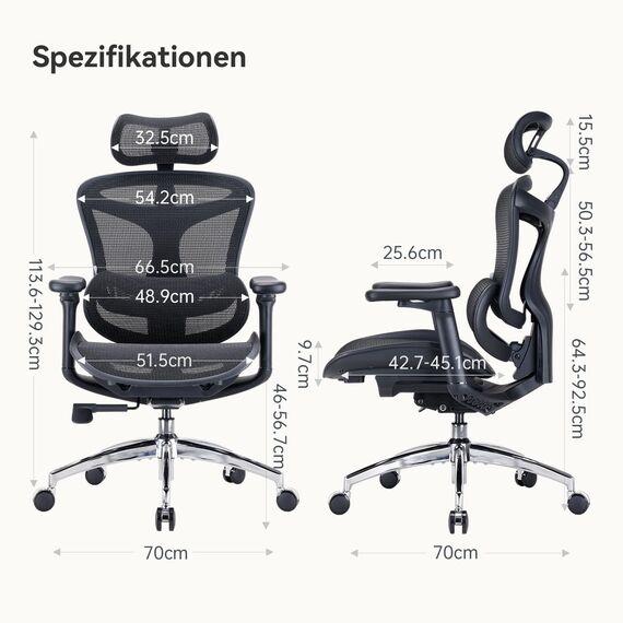 SIHOO Doro C300 Ergonomischer Bürostuhl mit ultraweichen 3D-Armlehnen, dynamischer Lordosenstütze für den Homeoffice-Stuhl, Verstellbarer Rückenlehne (Schwarz)
