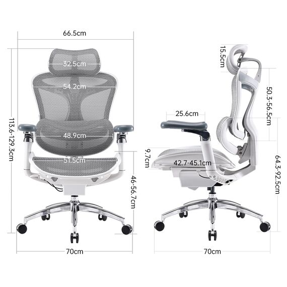 SIHOO Doro C300 Pro Ergonomischer Bürostuhl mit ultraweichen 6D-Armlehnen, dynamischer Lendenwirbelstütze, Sitztiefenverstellung und verstellbarer Rückenlehne, Schreibtischstuhl für Home Office (Weiß)