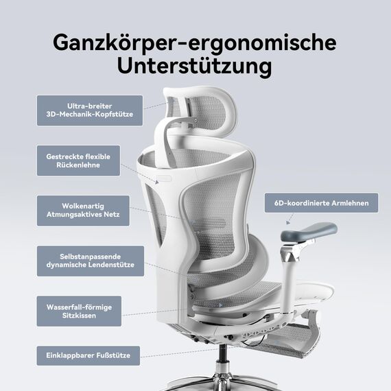SIHOO Ergonomischer Bürostuhl mit dynamischer Lendenwirbelstütze, 3D-Armlehnen & verstellbarer Rückenlehne, Fußstütze für verbesserten Komfort, Schreibtischstuhl für Home Office, Doro C300 - Schwarz