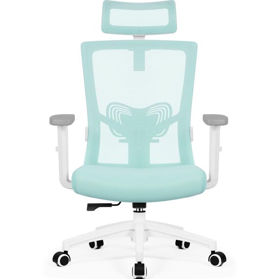 Daccormax Bürostuhl Ergonomisch, Schreibtischstuhl mit Verstellbarer Kopfstütze, Armlehnen, Lendenwirbelstütze, Drehstuhl Wippfunktion, Chefsessel aus Mesh,Rückenschonend, Bürostuhl 150kg