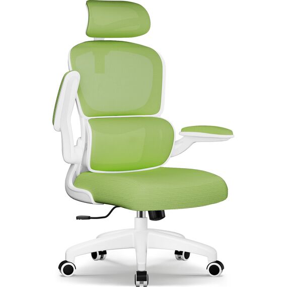 Aiidoits Bürostuhl, Bürostuhl Ergonomisch mit Lendenwirbelstütze, Klappbaren Armlehnen und Höhenverstellbarer, Wippfunktion bis 135°, Chefsessel 150 kg, Grün