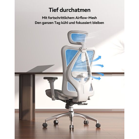 SIHOO M57 Ergonomischer Bürostuhl mit 3-Wege-Armlehnen, Lendenwirbelstütze und Verstellbarer Kopfstütze Hohe Rückenlehne Neigungsfunktion