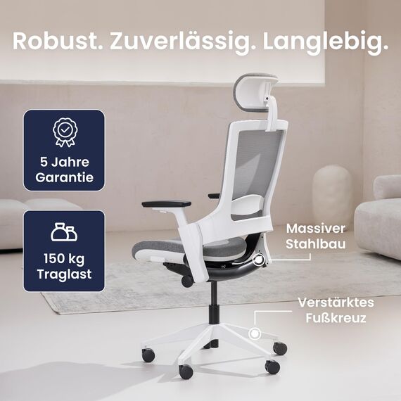Ergotopia NextBack | Ergonomischer Bürostuhl 150kg belastbar gegen Rückenschmerzen | Schreibtischstuhl ergonomisch | Bürostuhl ergonomisch, Office Chair - 5 Jahre Garantie