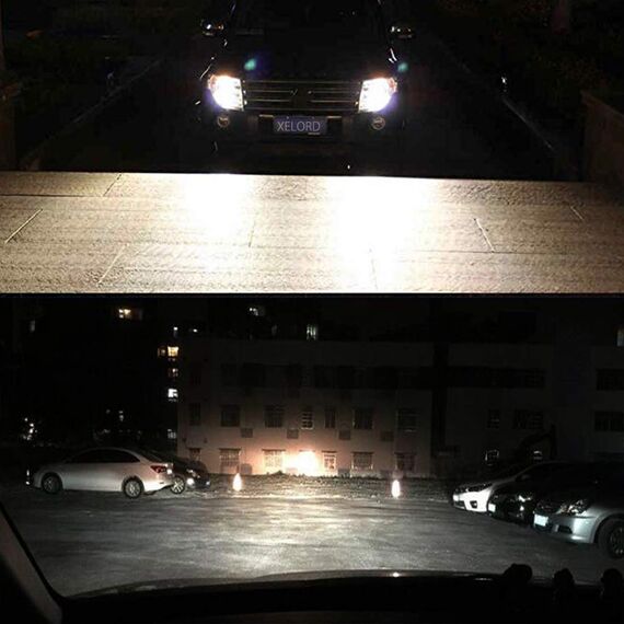 XELORD H1 Birne 12V 55W Autolampen,2er Pack