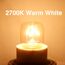 Caldarax 5 Stück Backofenlampe T22 E14 Dimmbar, 2700K Warmweiß, Backofen Birne Bis 300°C Hitzebeständiges, 160LM, E14 Edison Ersatzglühbirne Für zu Backöfen, Kühlschränke, Salz-Lampen, Mikrowelle