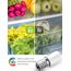LOHAS LED Kühlschranklampe E14 LED Lampen, 1.5W Ersatz für 15W Halogenlampen, Warmweiß 2700K, 135lm, 360° Abstrahlwinkel, LED Kühlschrankbirne, LED Leuchtmittel, 230V AC, 2er Pack