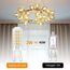 YzzYzz G9 LED Lampe Warmweiß - G9 LED 2700K 3W entspricht 40W Halogenlampe, Glühbirne 410 Lumen, Kein Flackern Lampen 360° Abstrahlwinkel, Nicht Dimmbar Leuchtmittel 2er Pack