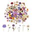 120 Transparente Scrapbooking Aufkleber, PET Blumen Aufkleber Pflanzen Sticker, Flower Stickers, Blumenaufkleber für Scrapbook Fotoalbum Sammelalbum Laptops Handwerk (60 Stile)