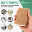ecoTru 6 Stück Bio Spülschwamm Aus Kompostierbarer Zellulose und Kokos, Natur Reinigungsschwamm, öko und Nachhaltig Küchenschwamm, Umweltfreundlich Kitchen Sponge, Biologisch Abbaubar Geschirrschwamm