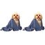 Glart 4485 Mikrofaser Hundetuch – 80×55 cm saugstarkes Handtuch zum Abtrocknen & Reinigen – weich & schonend für Fell & Pfoten – für Auto, Bad & Zuhause – Designed in Germany (Packung mit 2)