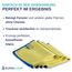ELEXACLEAN Fenstertuch streifenfrei, Mikrofaser Fensterputztücher (4 Stück, 40x30 cm, gelb) Premium Glas Putztücher Auto für Innen & Außen