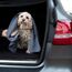 Glart 4485 Mikrofaser Hundetuch – 80×55 cm saugstarkes Handtuch zum Abtrocknen & Reinigen – weich & schonend für Fell & Pfoten – für Auto, Bad & Zuhause – Designed in Germany (Packung mit 2)